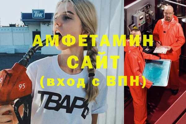 шишки Алзамай