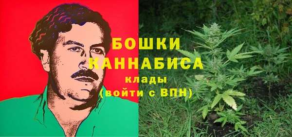 шишки Алзамай