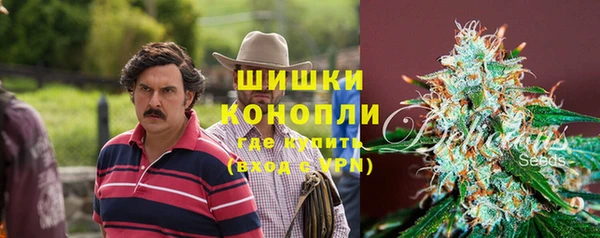 PSILOCYBIN Алексеевка