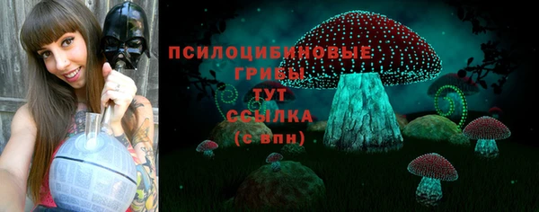 молекула духа Абинск